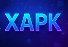 How to Install XAPK Files on Android