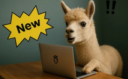 Ollama launches official app for Mac and Windows